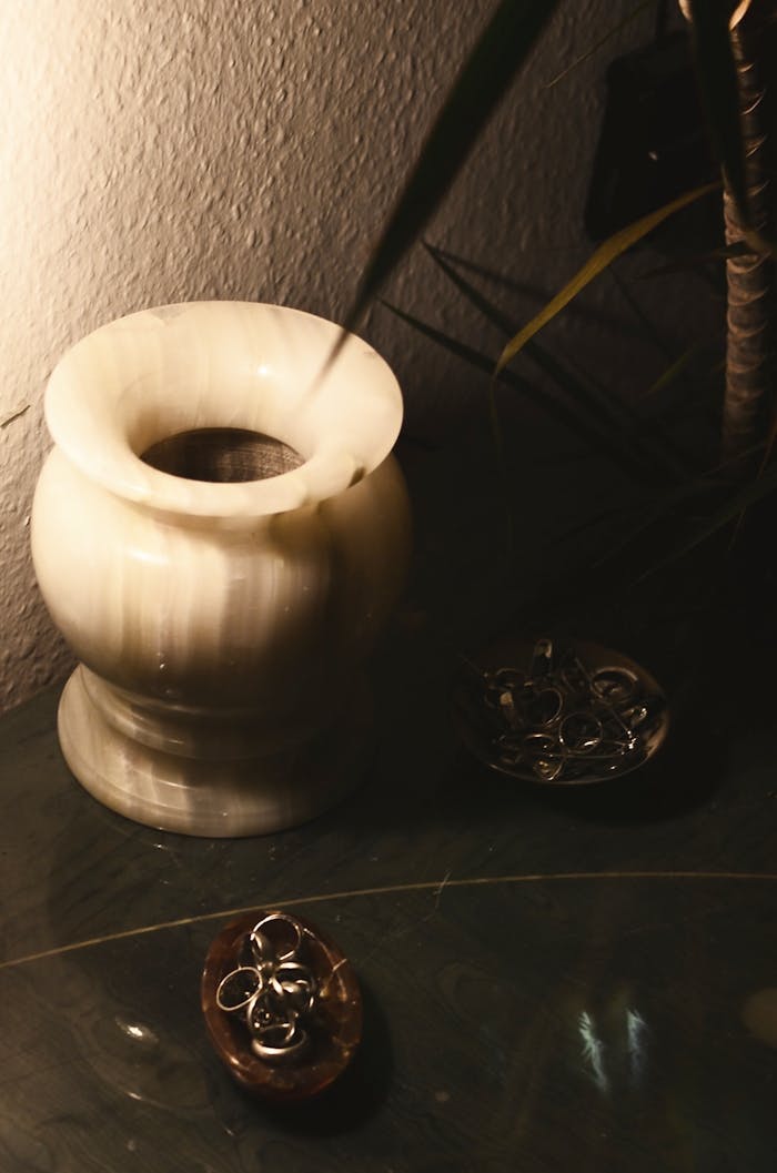 From above of vintage ceramic empty vase placed on table near green plant and bijouterie on small plates in dark room